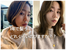 1年で髪って実際どれくらいのびるか検証してみた。