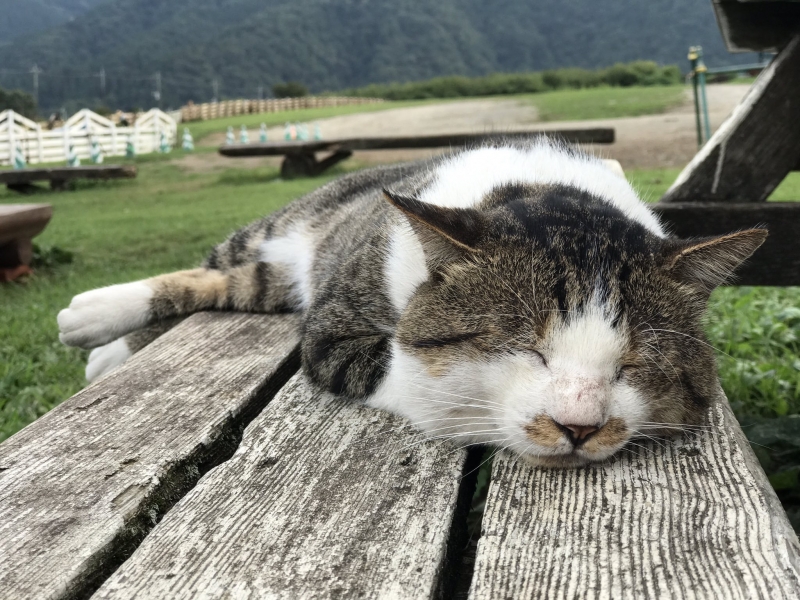 行ってきました！