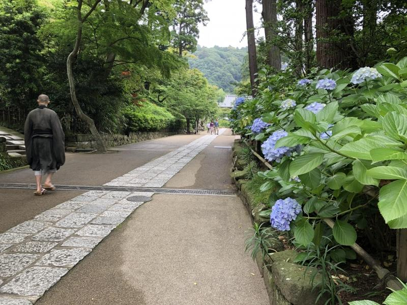 オオタニ7月予約状況