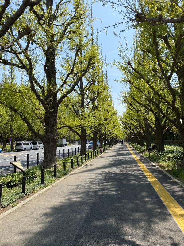 5月オオタニ予約状況